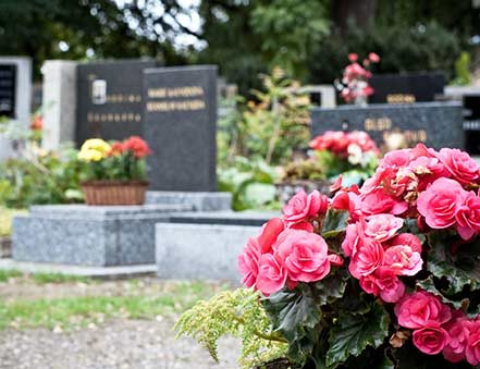 grave plot with flowers